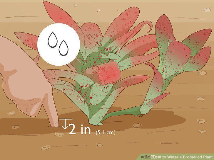 Step 2