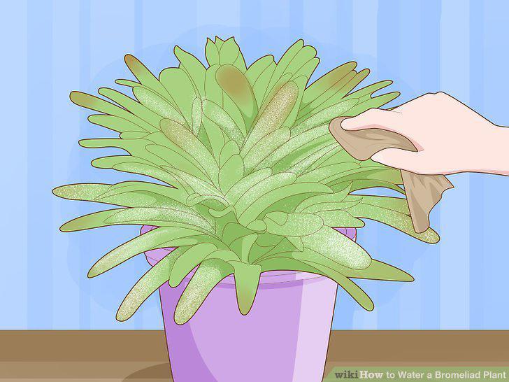 Step 11
