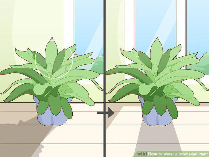 Step 13