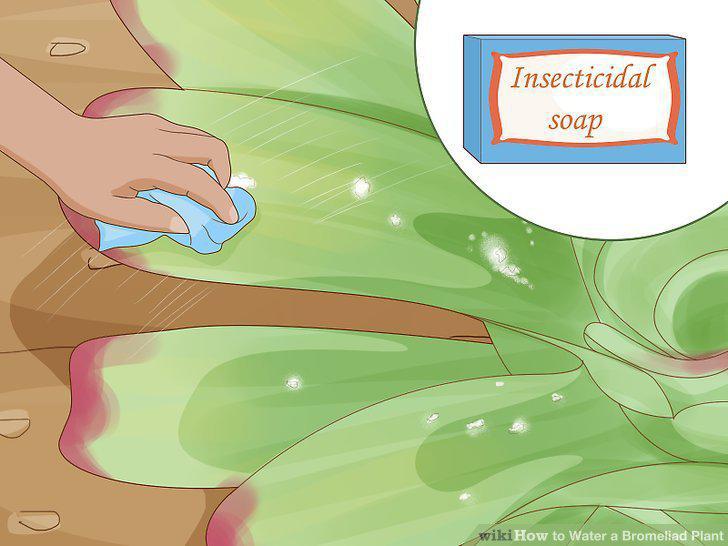 Step 16