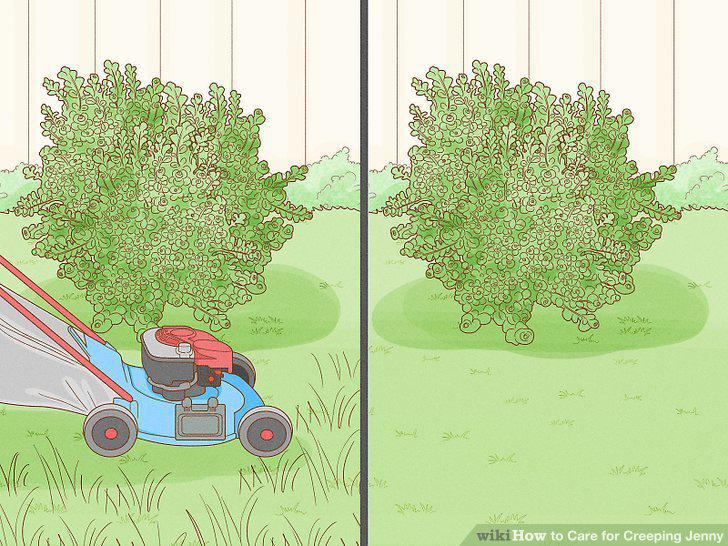 Step 10