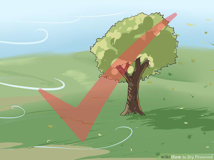 Step 5