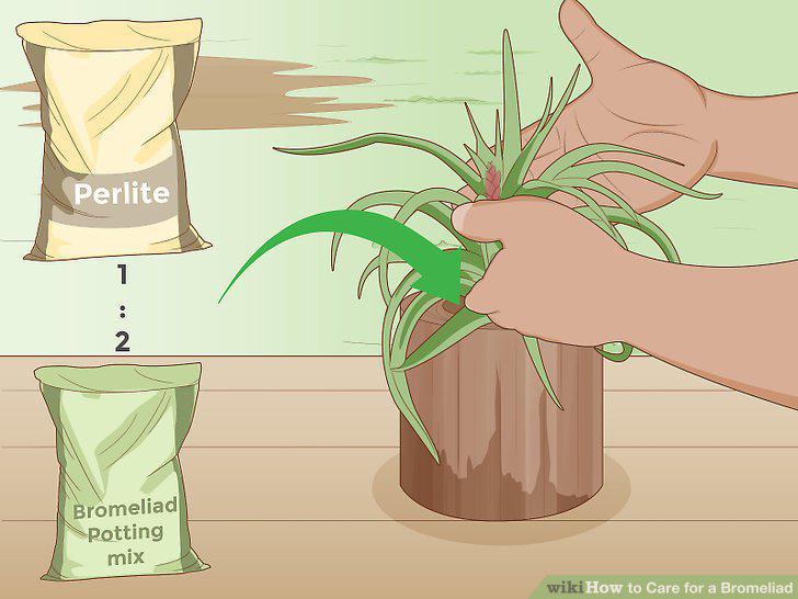 Step 11