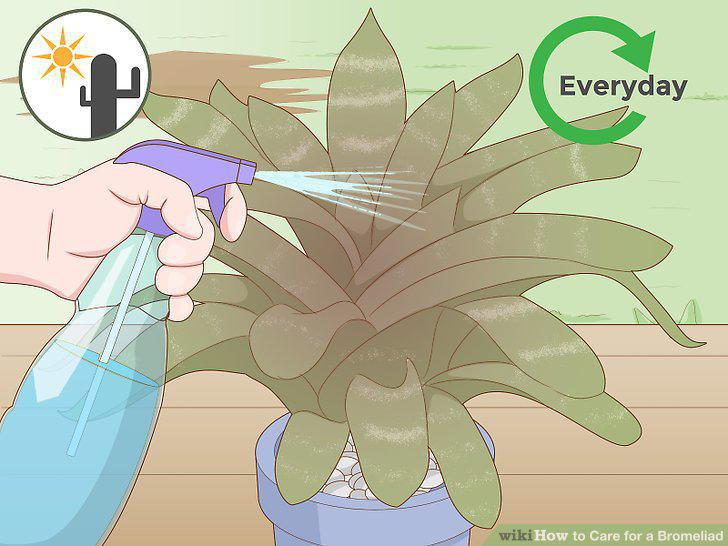 Step 13