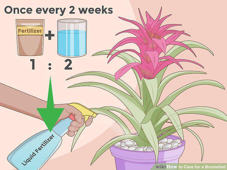 Step 14