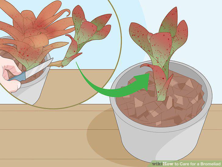 Step 15
