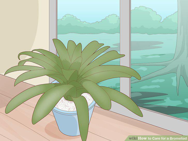 Step 16