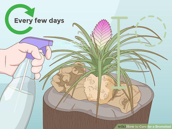 Step 19