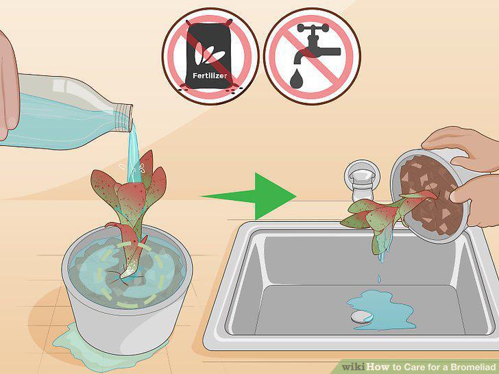 Step 20