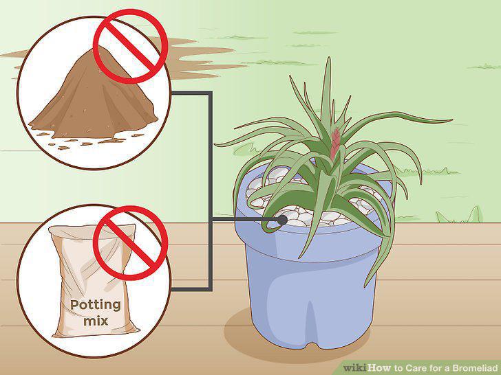 Step 10