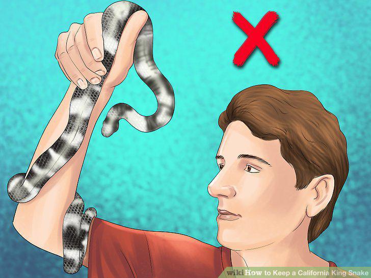 Step 12
