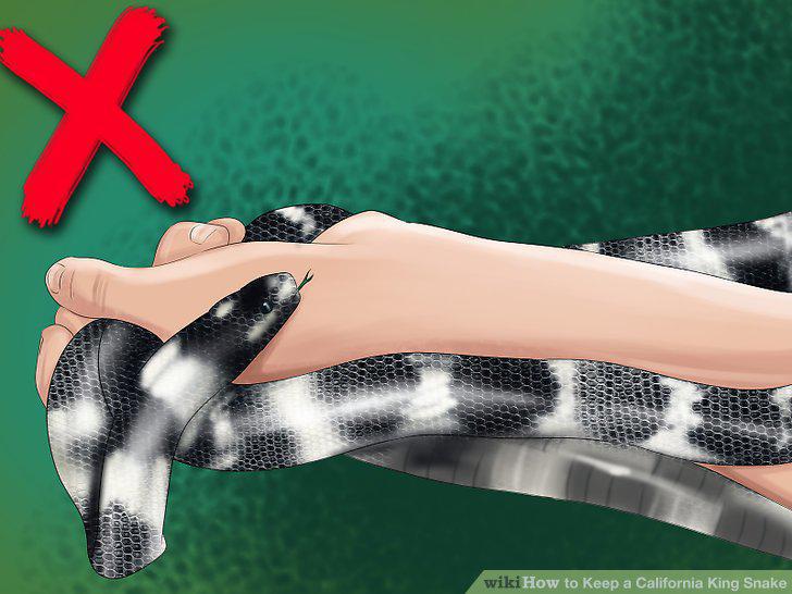Step 14