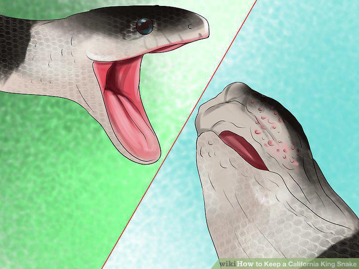 Step 17