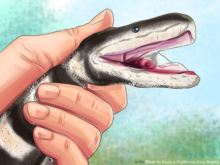 Step 18
