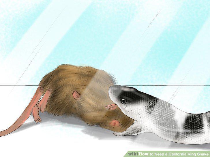 Step 8
