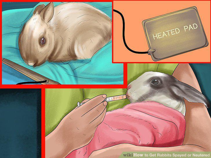 Step 11