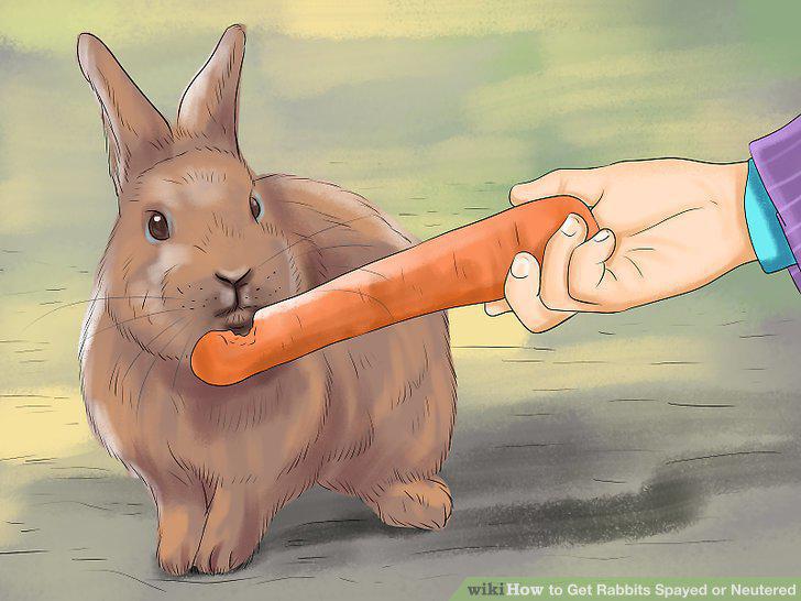Step 12