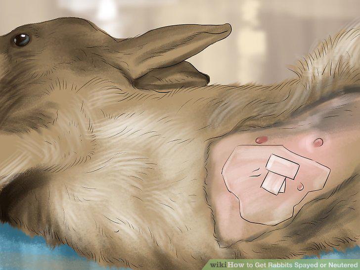 Step 5