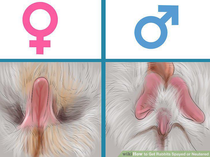 Step 7