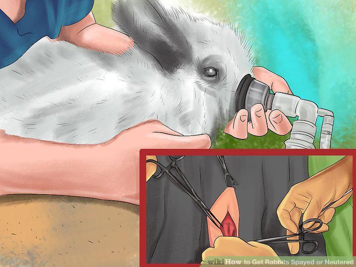 Step 9