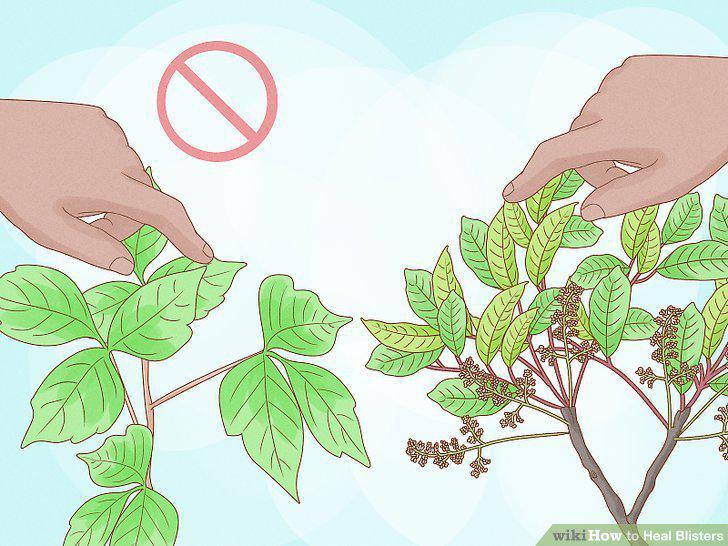 Step 22