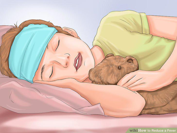 Step 14