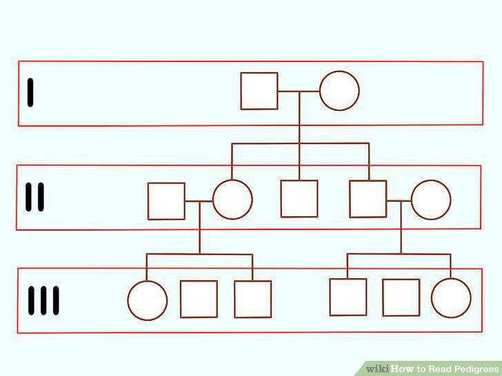 Step 12