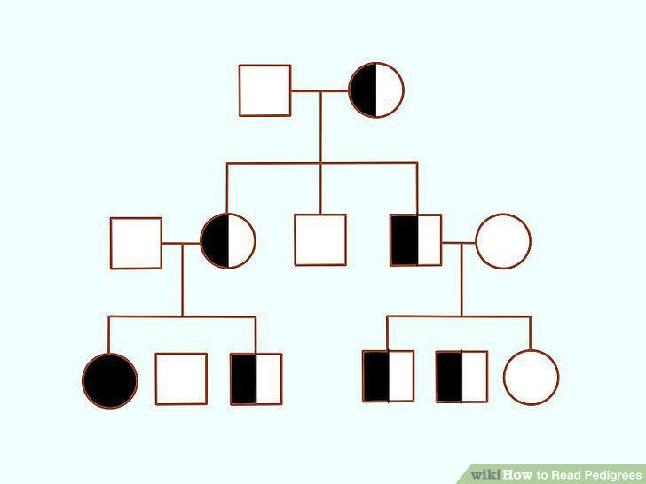 Step 14
