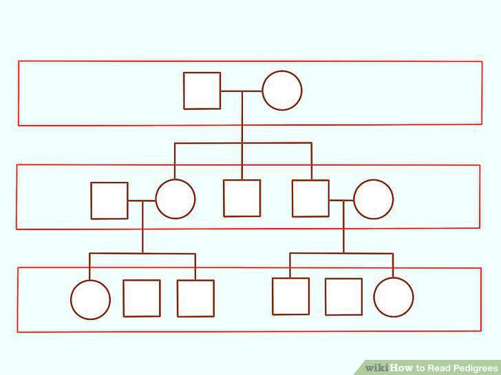 Step 3