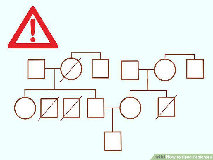 Step 10