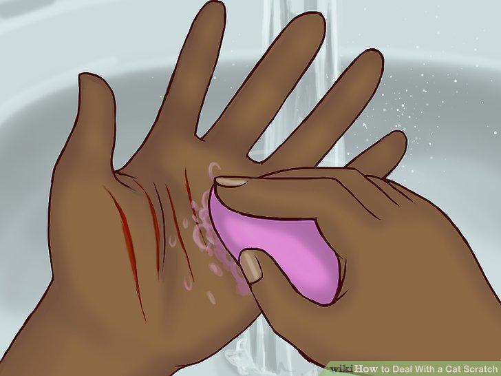 Step 12