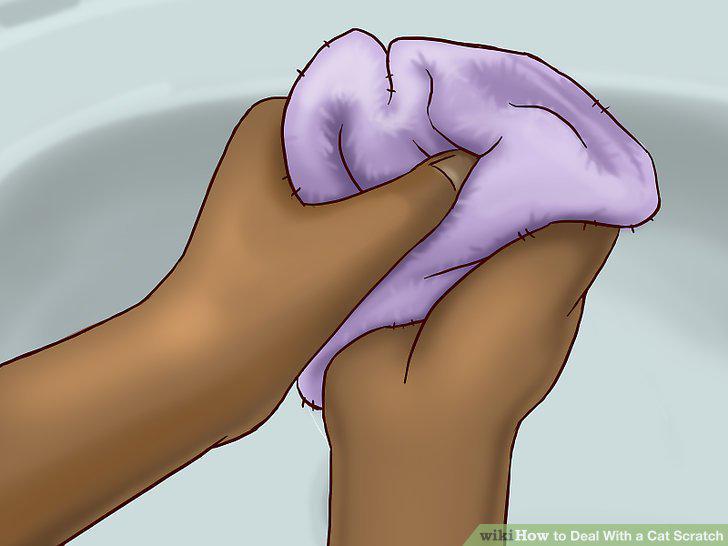 Step 13