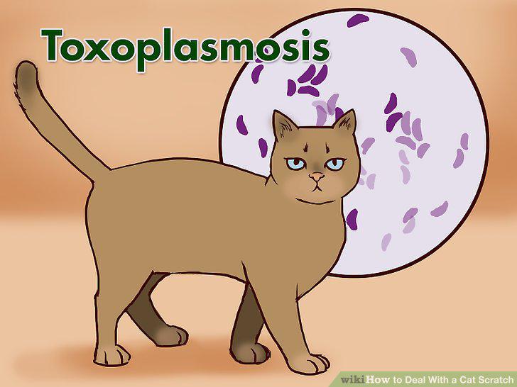 Step 18
