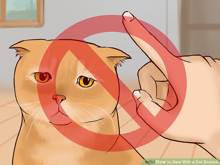 Step 20