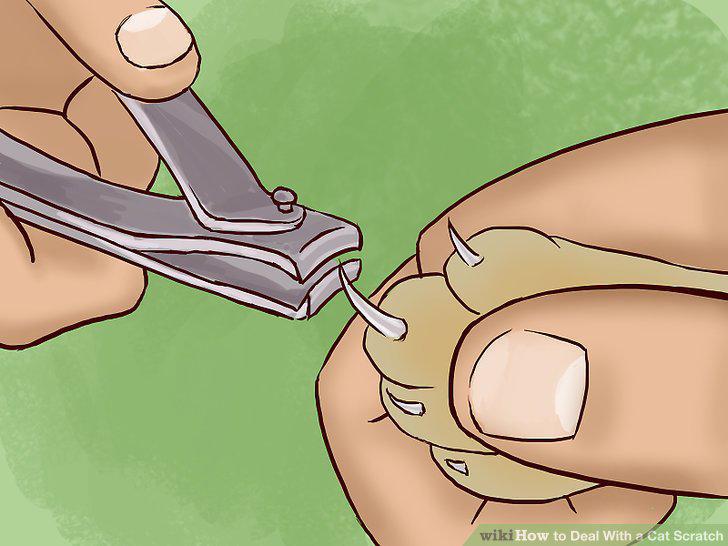 Step 21