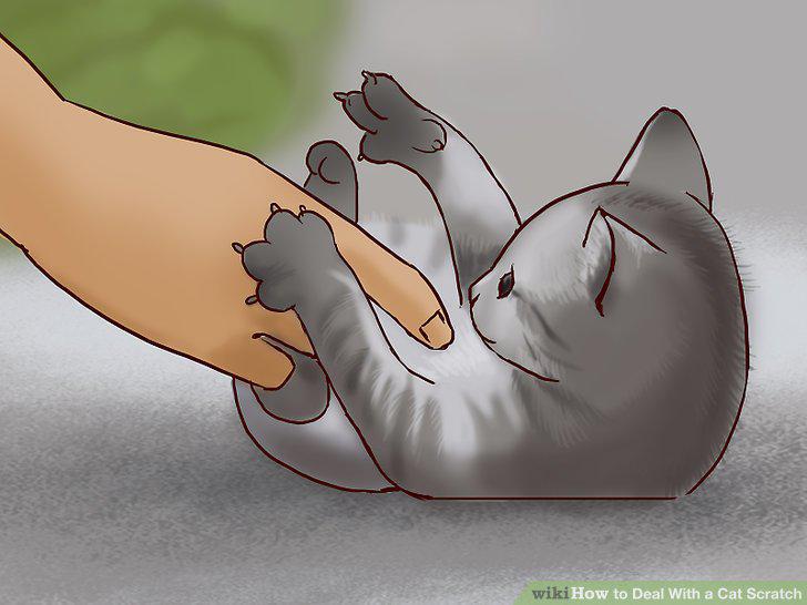 Step 22