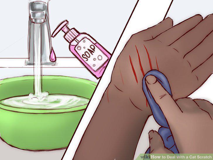 Step 7