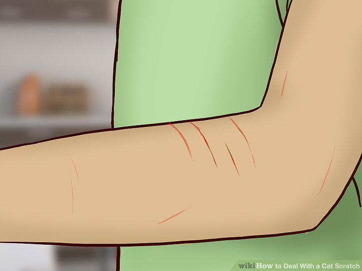 Step 9
