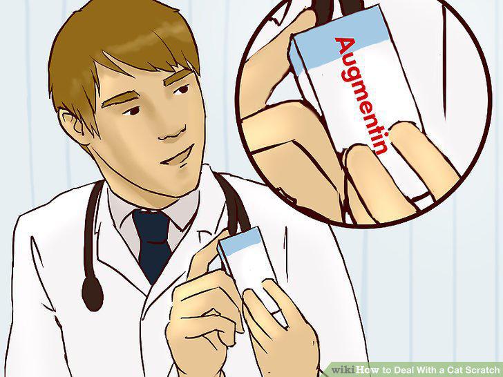 Step 10