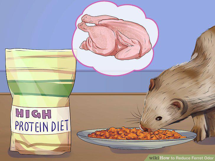Step 11