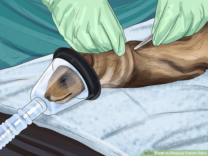 Step 13
