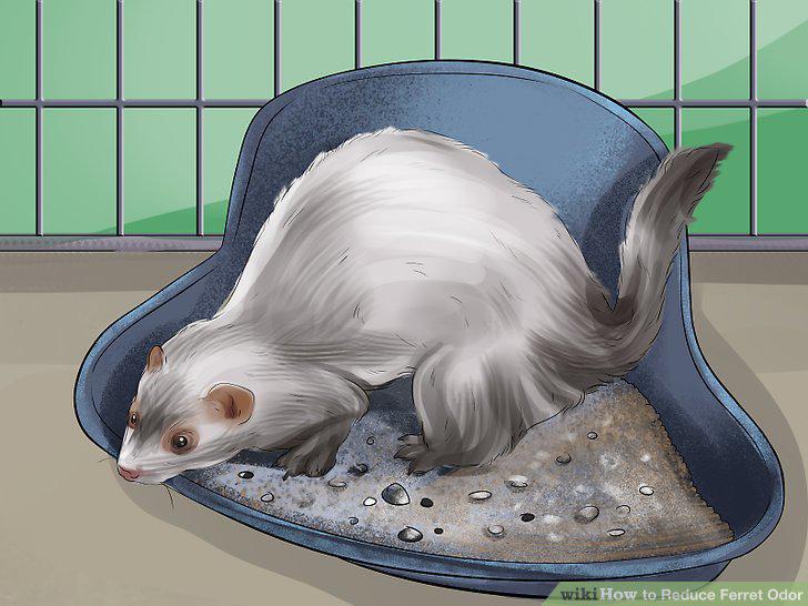 Step 5