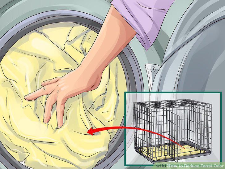 Step 8