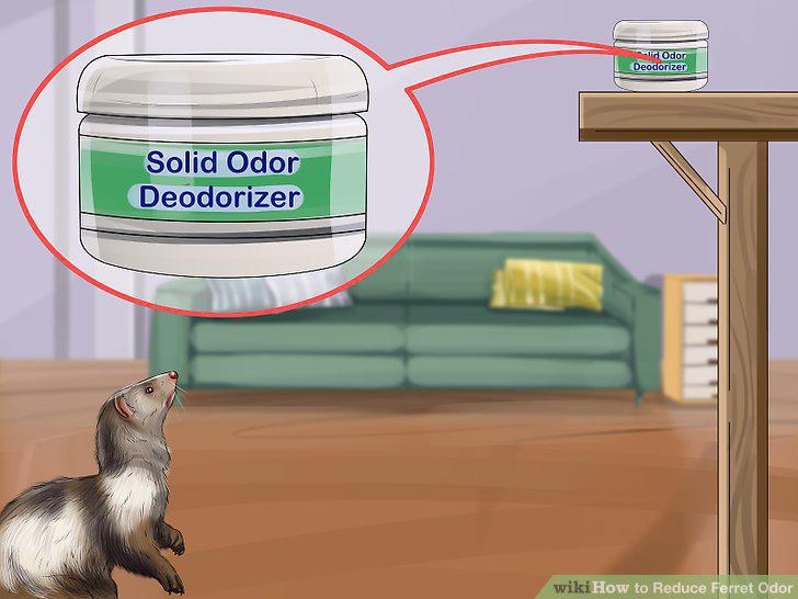 Step 10