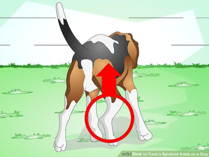 Step 3