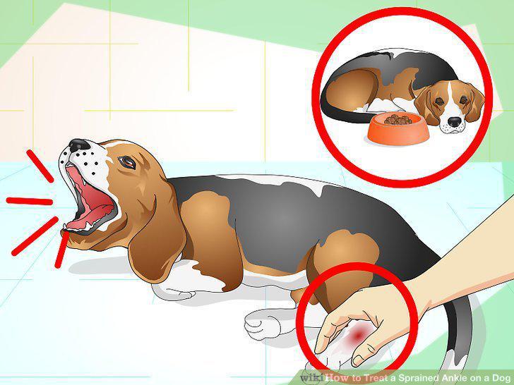 Step 5