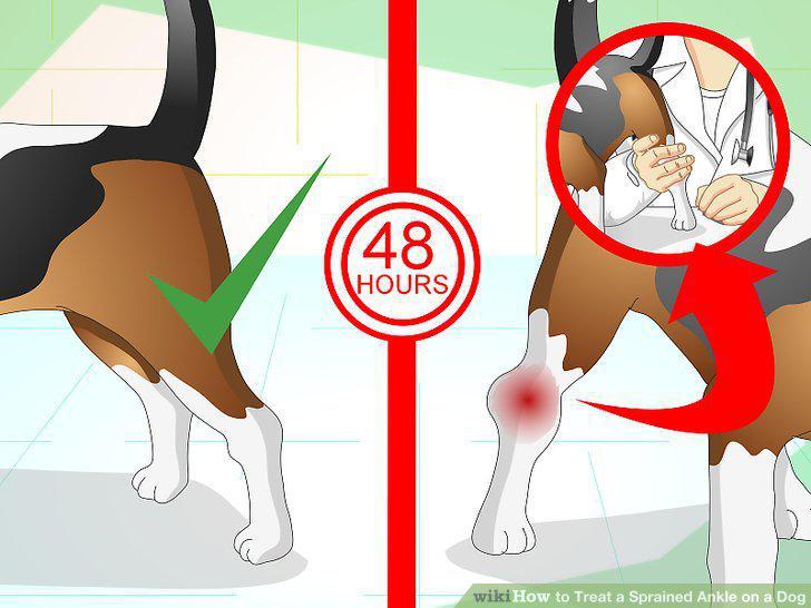 Step 9