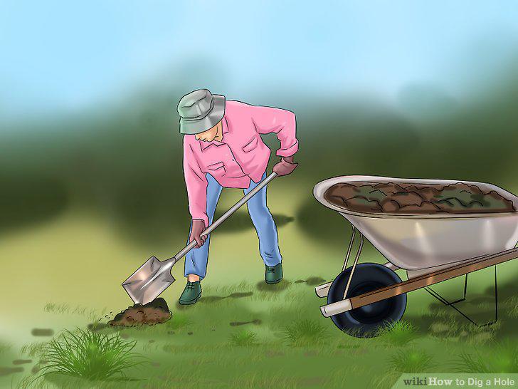 Step 8