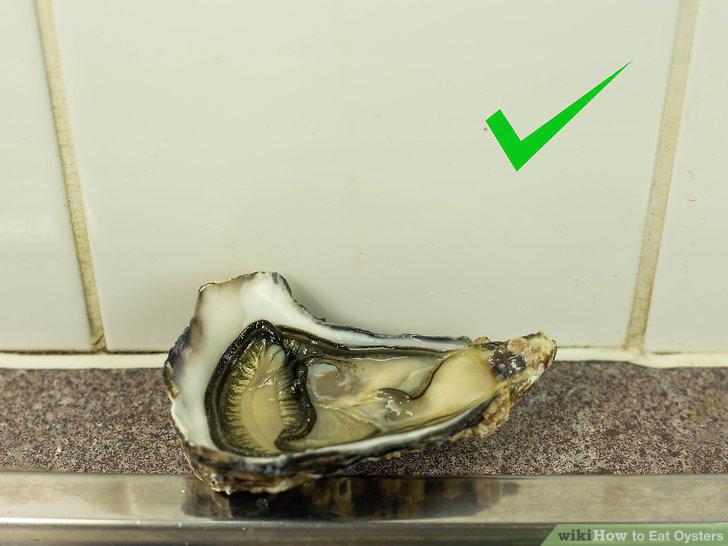 Step 5