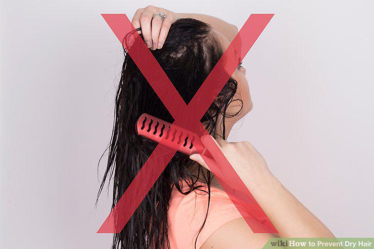 Step 12